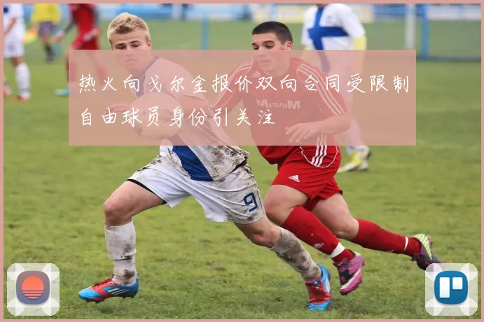 热火向戈尔金报价双向合同受限制自由球员身份引关注